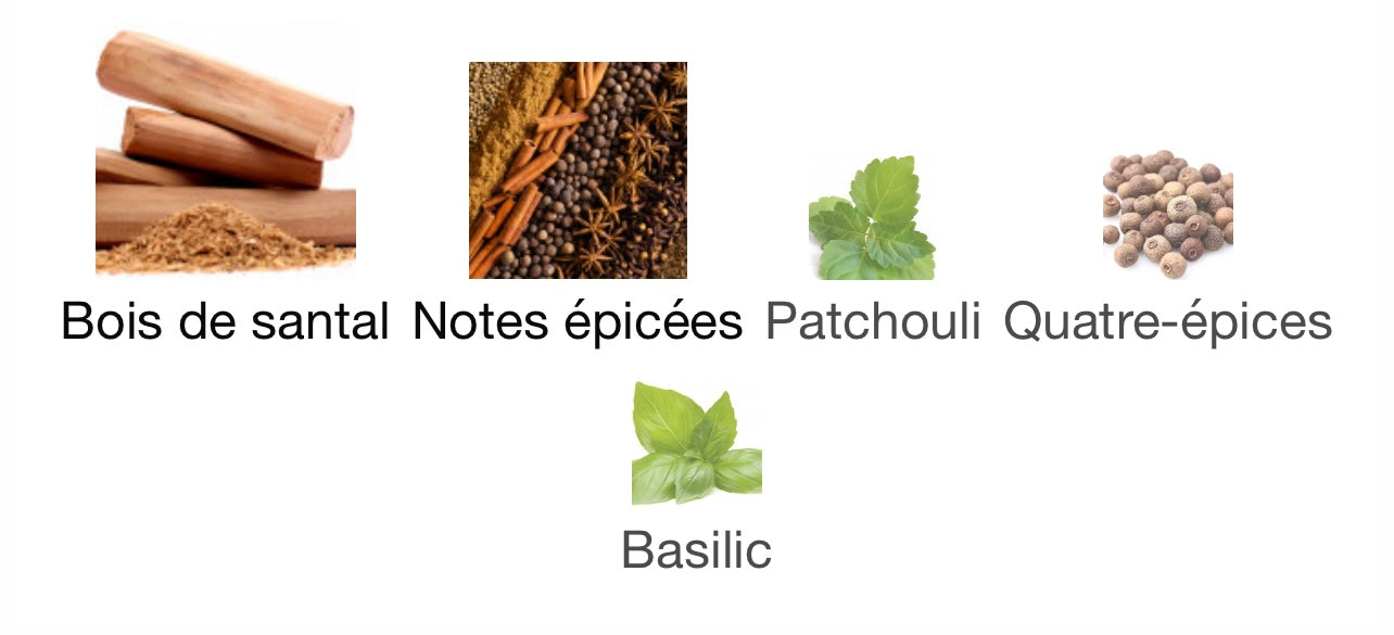 Voux spices - Emir - Paris corner