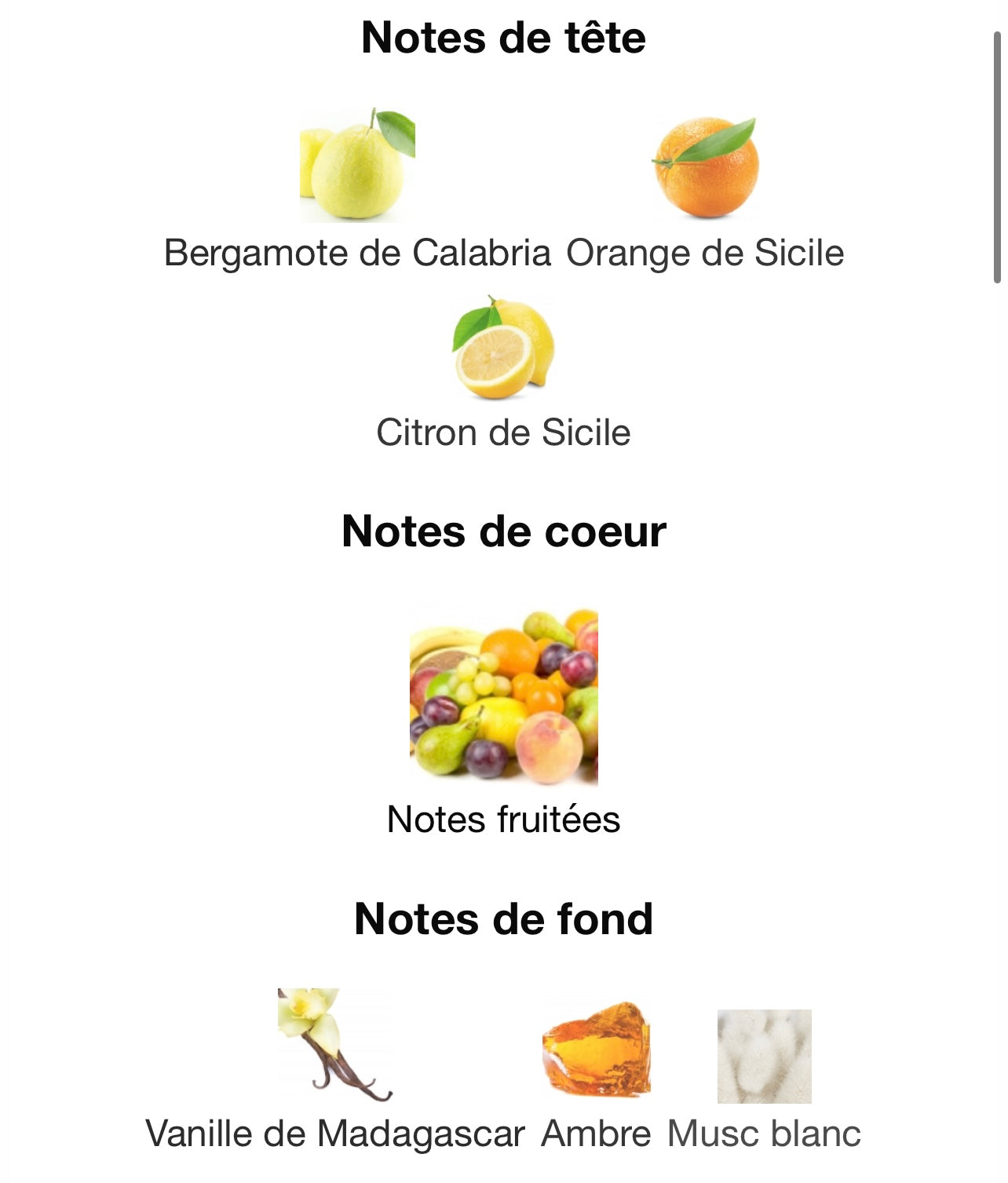 Voux turquoise - Emir - Paris corner