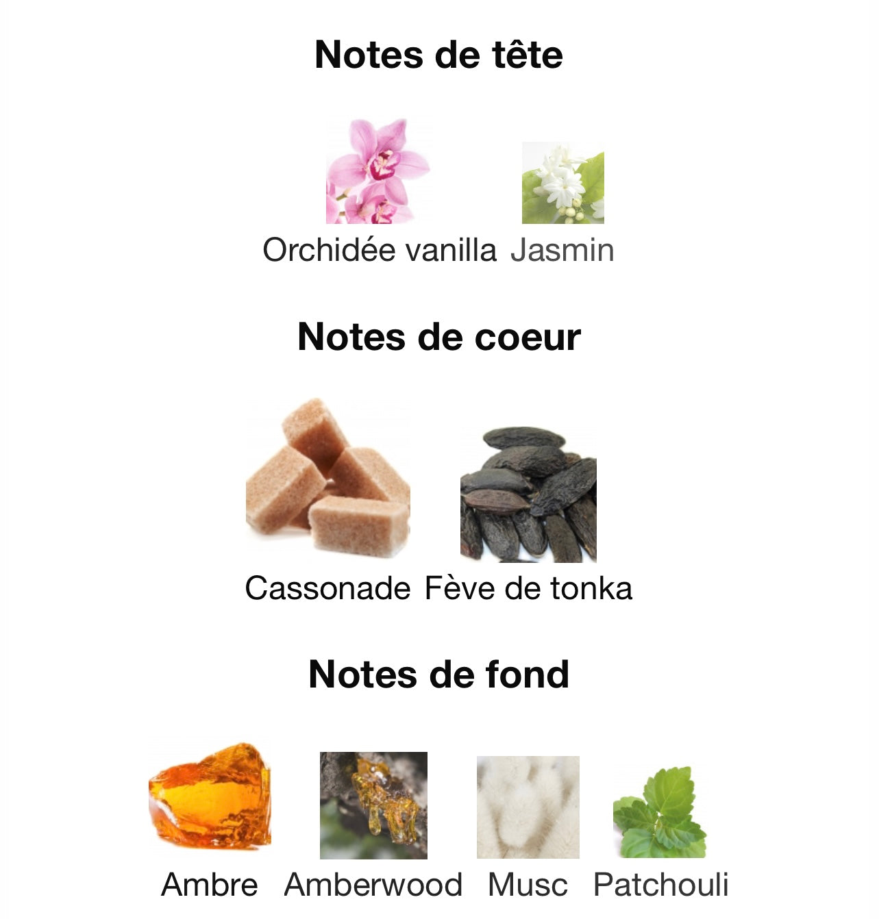 Elysia vanilla - Fragrance World