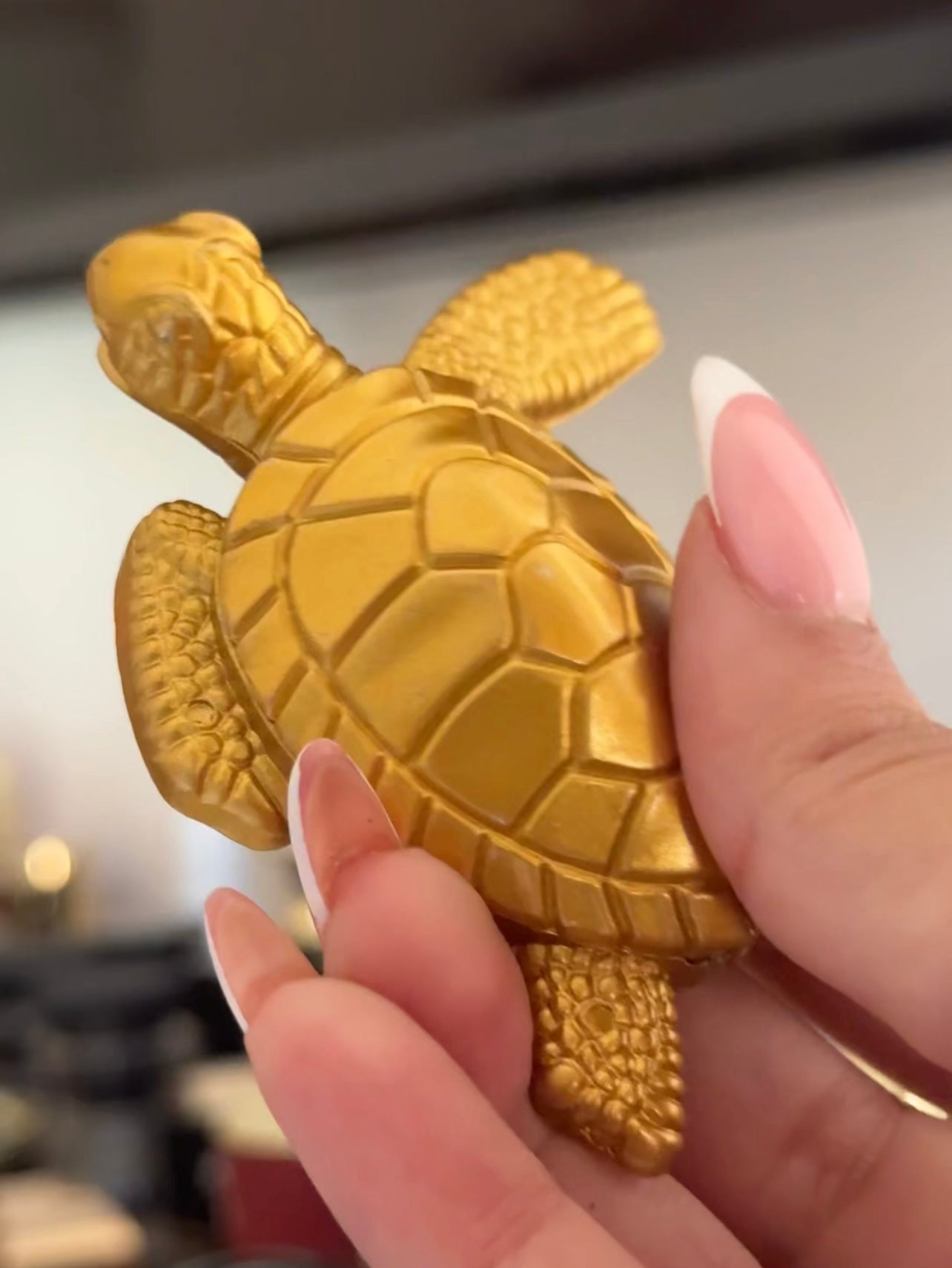 Briquet tortue marine à gaz