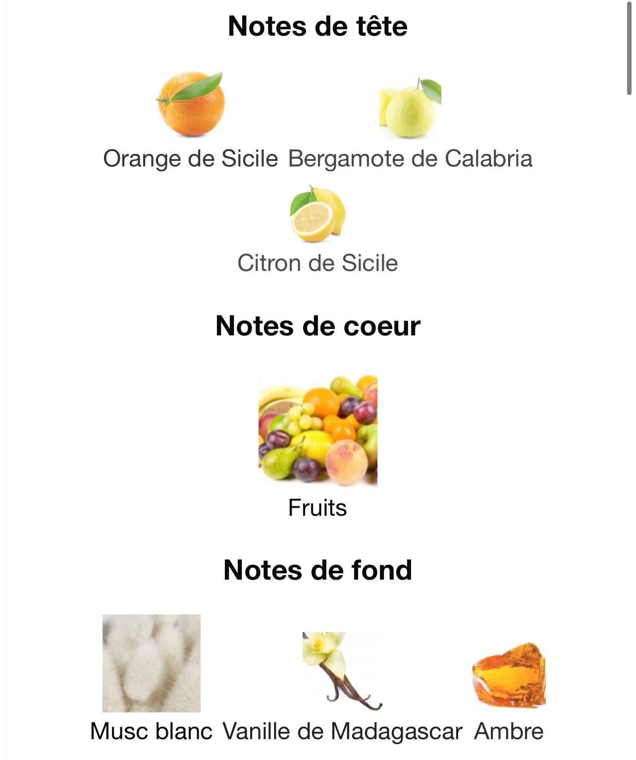Amber d’or - Fragrance World