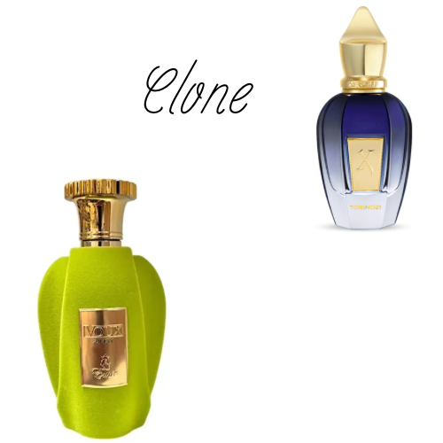 Voux Zingy - Emir - Paris corner