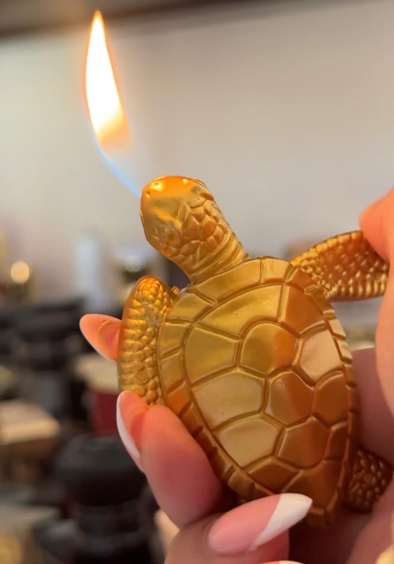 Briquet tortue marine à gaz