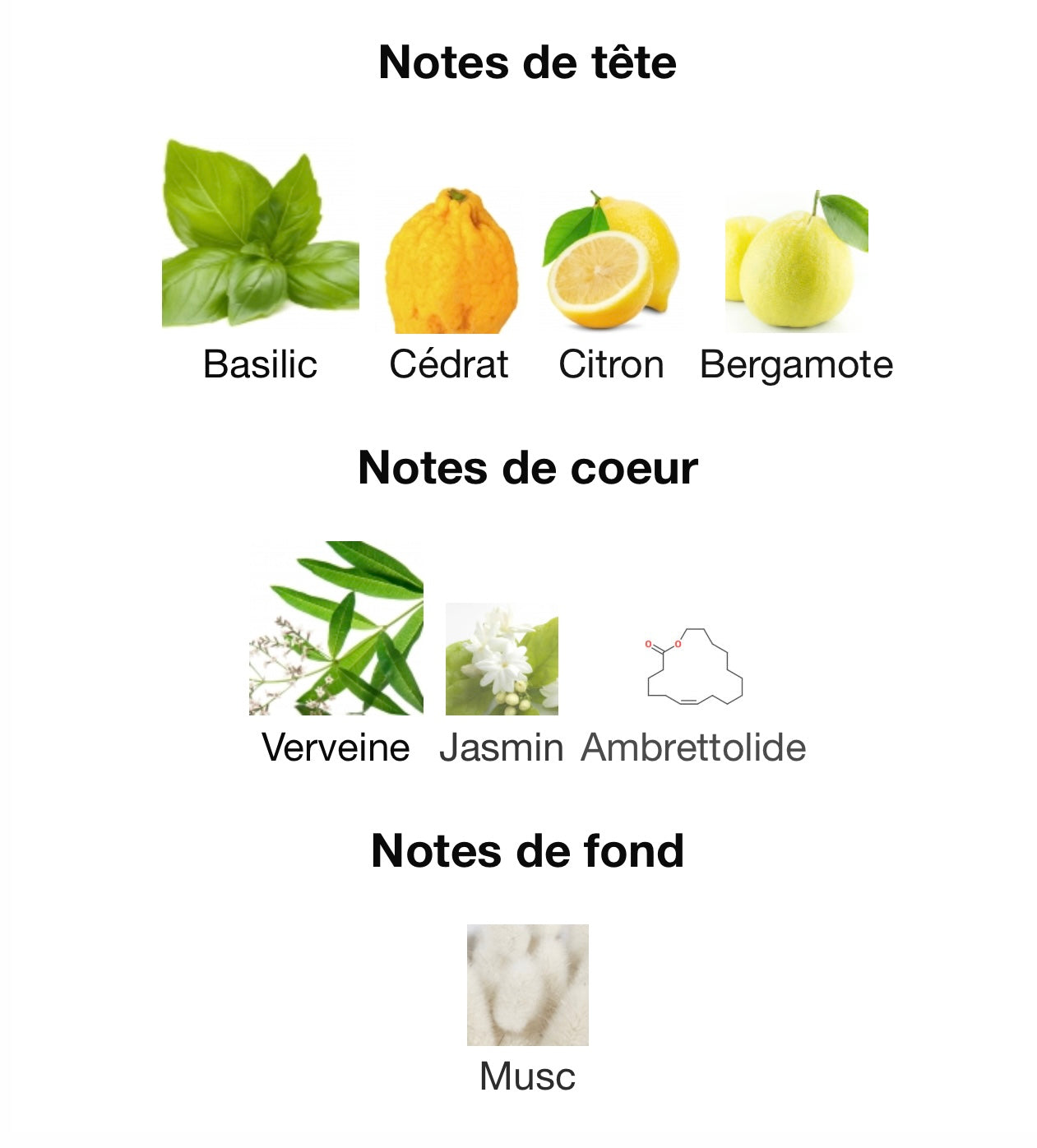 Voux Zingy - Emir - Paris corner