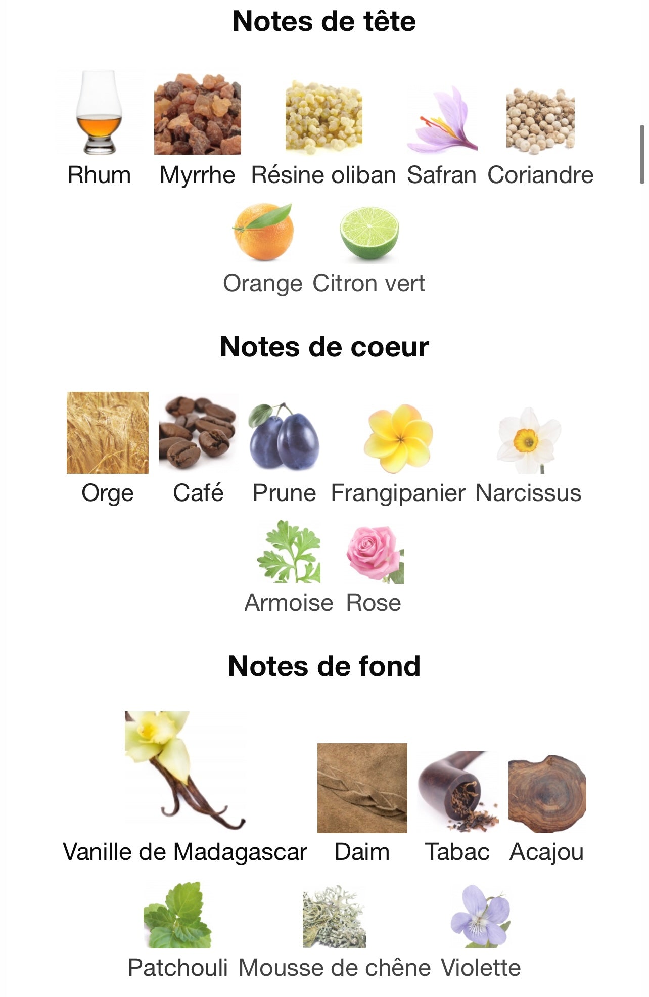 Smoked Oud & Vanilla - Maison Alhambra