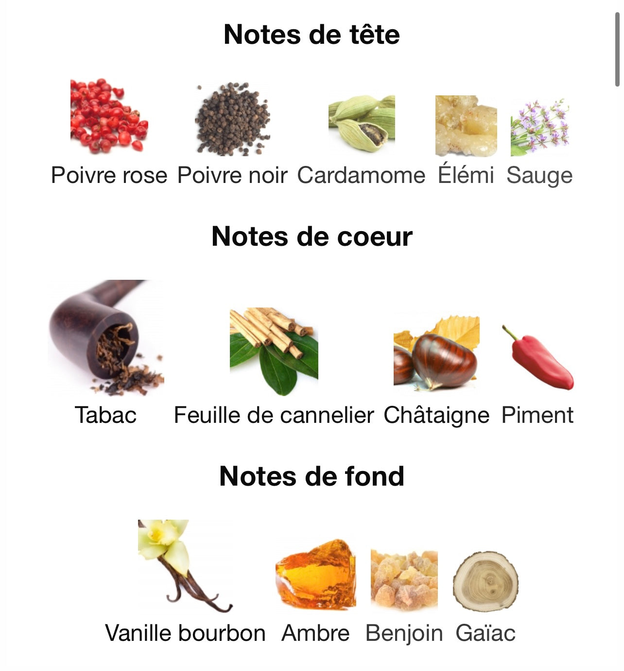 Your touch Tobacco - Maison Alhambra