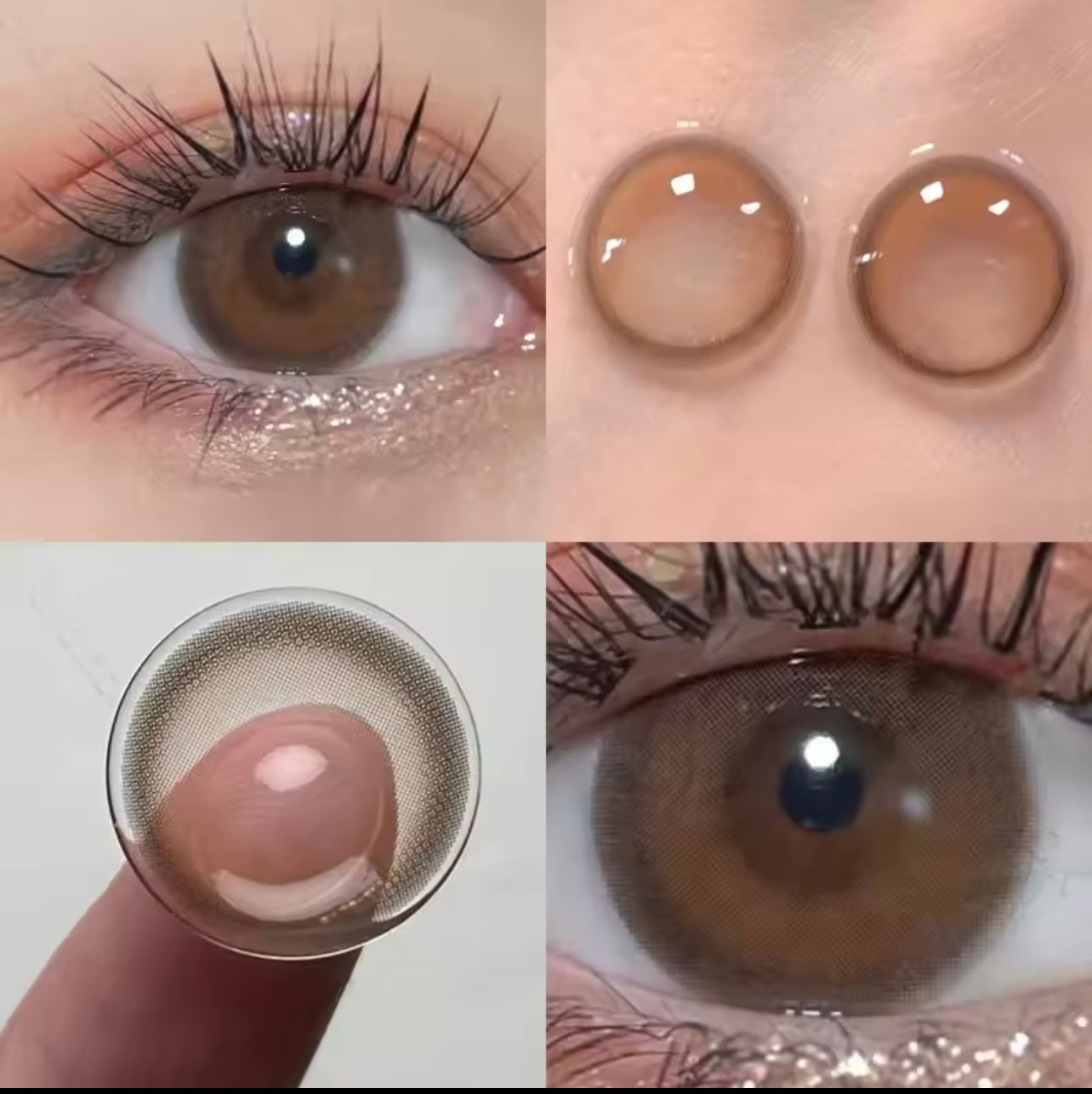 Lentilles 180 j - wine brown