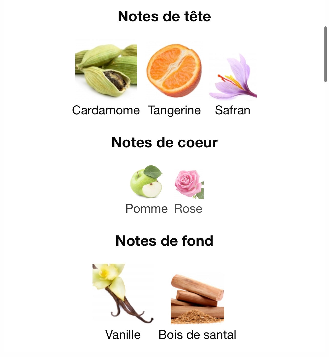 Voux pâtisserie - Emir - Paris corner