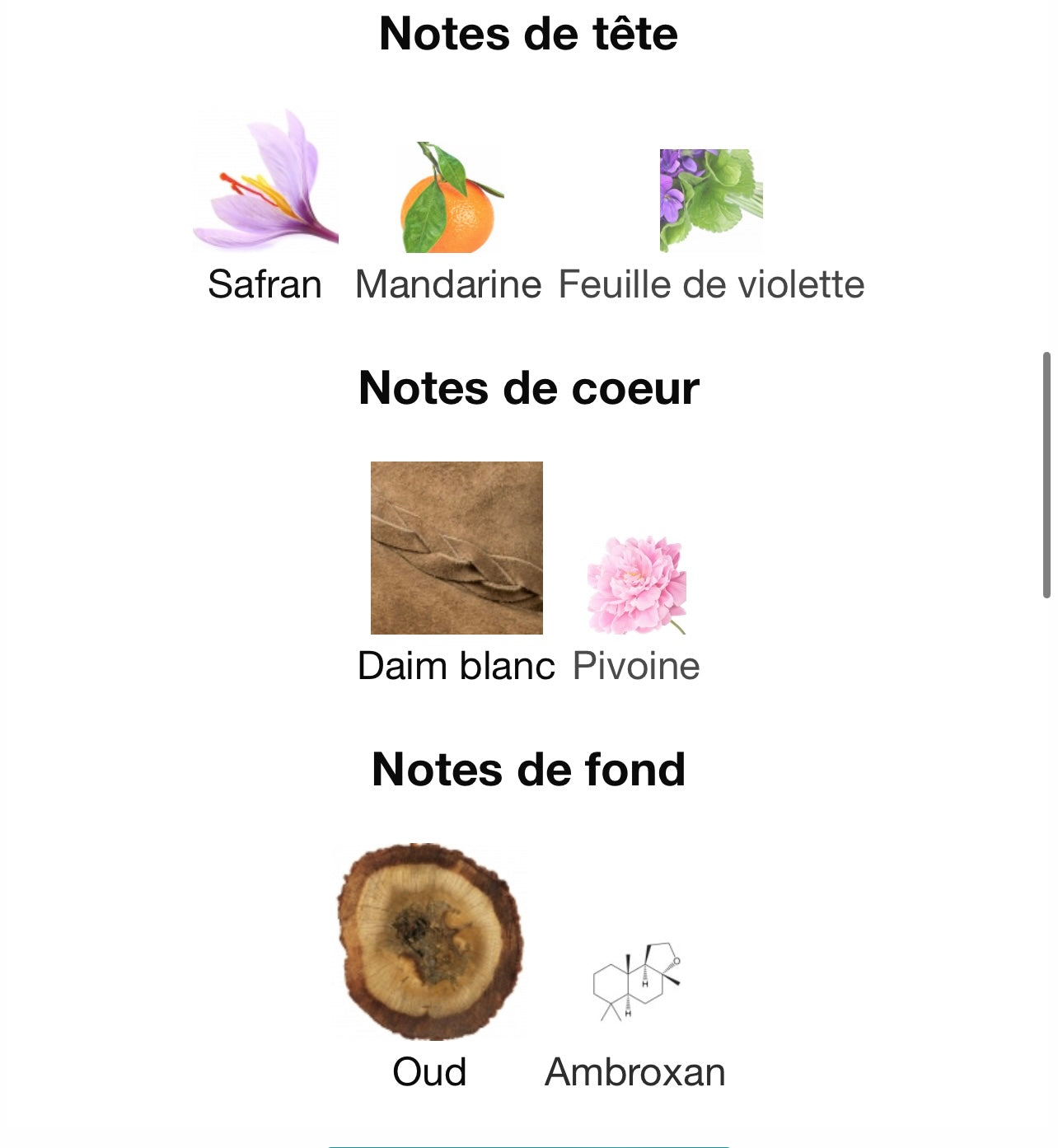Rose seduction secret Oud - Fragrance World