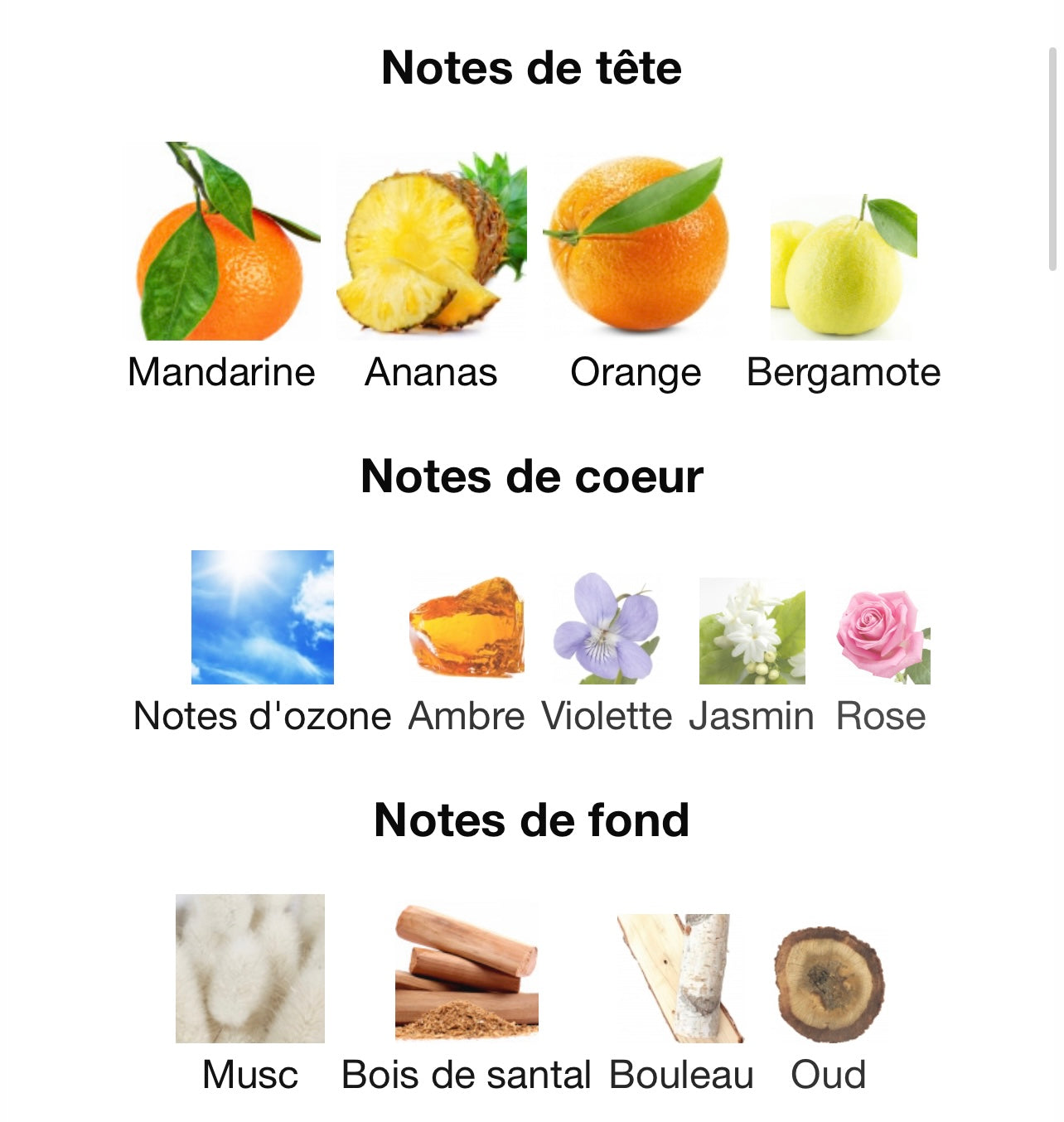 Pur élégance - Fragrance World